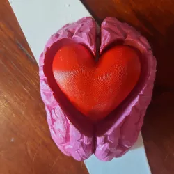 Brain-heart