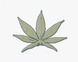 Cannabis Leaf