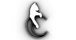 CAT AND MOON