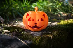 Cat Face jack o'lantern Pumpkin