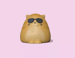 Cat wearing Sunglasses