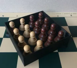Chess set storage and transport cases