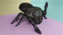 Cute Jumping Spider Steve