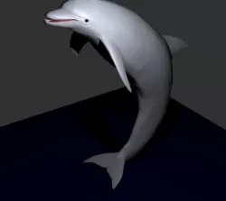 Dolphin - curved, upright