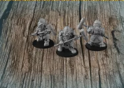Dwarf Fighter