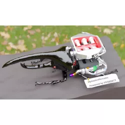 Dynastes Hercules powered by R35 GTR engine.
