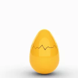 egg cracked open