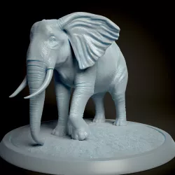 Elephant
