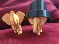Elephant Walking