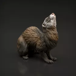 Ferret
