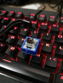 Free Case Switch Keycap Keychain