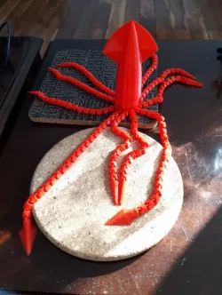 Giants squid