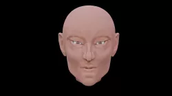 Head of a bald man
