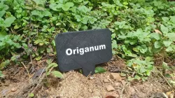 Herb & vegetable garden labels (stakes / markers) - multicolored