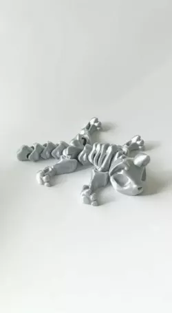 Nice Skeleton Cat