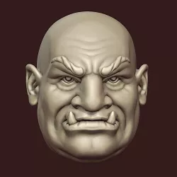 ORC head