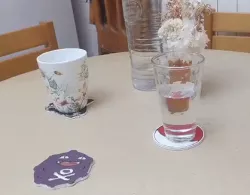 Pokemon Coaster