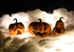 Pumpkin / Pumpkin Halloween