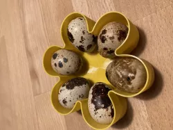 Quail egg gift box