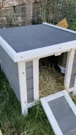 Seed tank