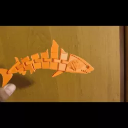 SHARK BULL FLEXI