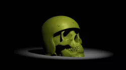 Skull case key ring