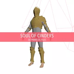 Soul of Cinders Armor - Dark Souls