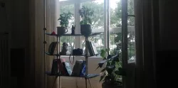 sprout.skate Book-Shelf - recycle your deck's