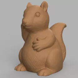 Squirrel