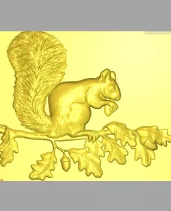 Squirrel