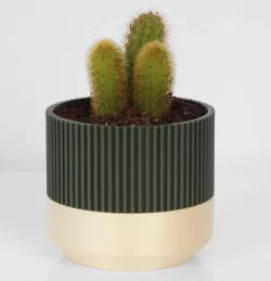 Succulent planter, 3D Print Model STL file - digital print planter - Digital file, Indoor Planter, Minimalist Planter, Planter Gift