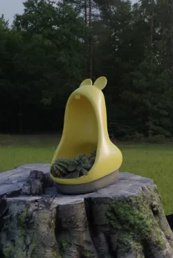 Succulent Pot