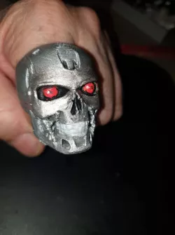 T800