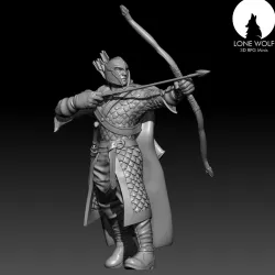 The Aes Sidhe Archer