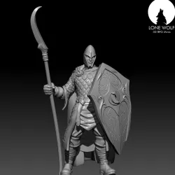 The Aes Sidhe Soldier with spear and shield