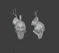 The Elder Tree Boss Trophy Head with Hook Inspired by Valheim