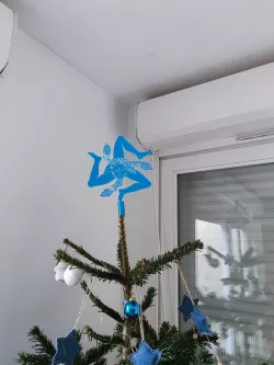 Tricanacria in Christmas tree tip