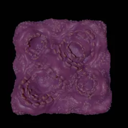 Turnip28 inspired terrains