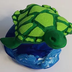Turtle on Wave