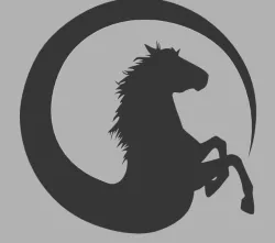 Wall decoration- horse