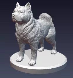Akita Dog