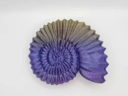 Ammonite