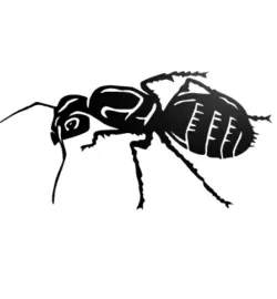 Ant Wall Decor