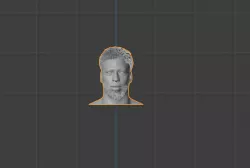 ANTHONY DAVIS BUST