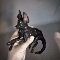 BJD-doll forest dog