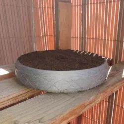 bonsai pot