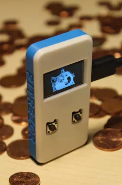 Crypto wallet | Raspberry Pi Zero case | Pitrezor