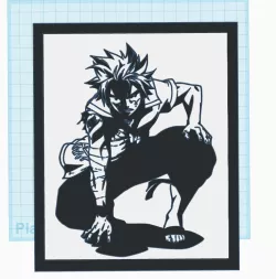CUADRO NATSU DRAGON