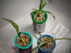 Customized Self-Watering Planter (a.k.a. Petit Planteur)