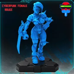 Cyberpunk Female Rogue